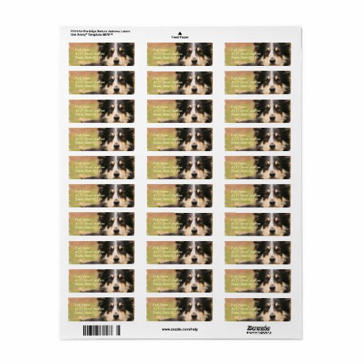 Australian Shepherd Dog Return Address Label (Full Sheet)