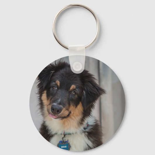 Australian Shepherd Dog Sleutelhanger (Voorkant)