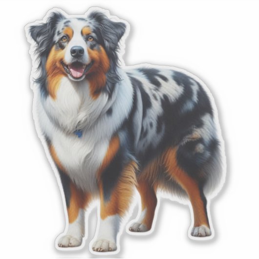 Australian Shepherd Dog Sticker (Voorkant)