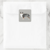 Australian Shepherd Dog Sticker (Tas)