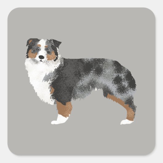 Australian Shepherd Dog Sticker (Voorkant)