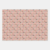 Australian Shepherd Dogs Inpakpapier Vel (Voorkant)