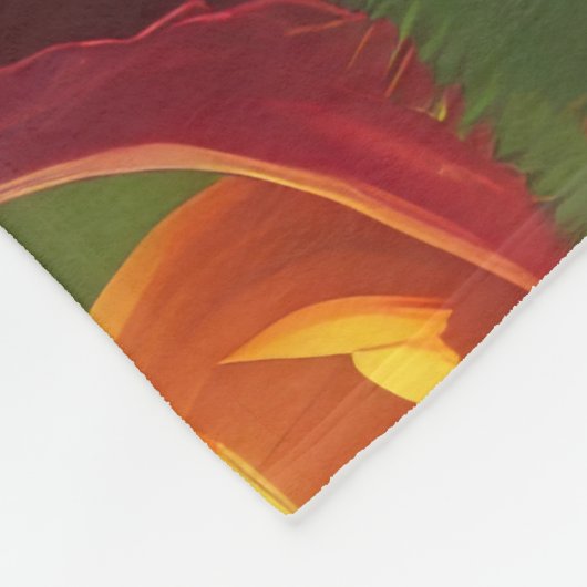 Australian Shepherd Dogs Pumpkin Halloween Grappig Fleece Deken (Hoek)