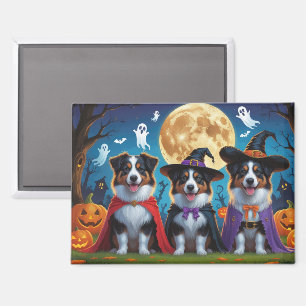 Australian Shepherd Dogs Pumpkin Halloween Grappig Magneet