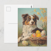 Australian Shepherd  Easter Briefkaart (Voorkant / Achterkant)