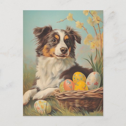 Australian Shepherd  Easter Briefkaart (Voorkant)