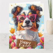 Australian Shepherd Easter Eggs Kaart (Voorkant)