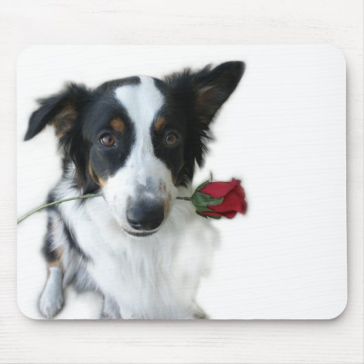 Australian Shepherd en Roos Mousepad Muismat (Voorkant)