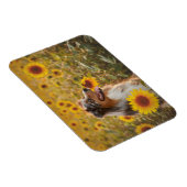 Australian Shepherd en zonnebloemen  Magneet (Rechterzijde)