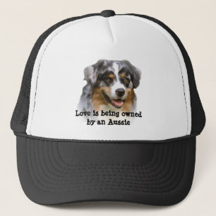 Australian Shepherd Fabulous Pet