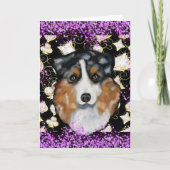 AUSTRALIAN SHEPHERD FEESTDAGEN KAART (Voorkant)