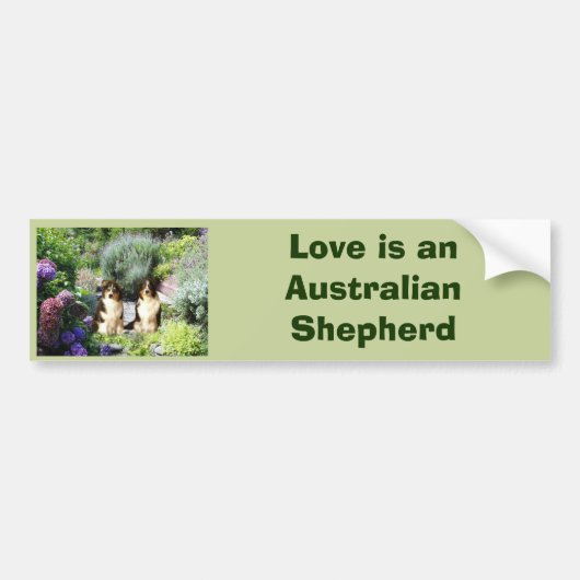 Australian Shepherd Garden Bumpersticker (Voorkant)