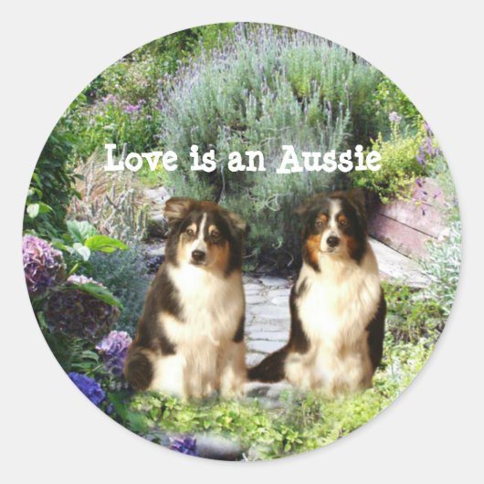 Australian Shepherd Garden Sticker (Voorkant)