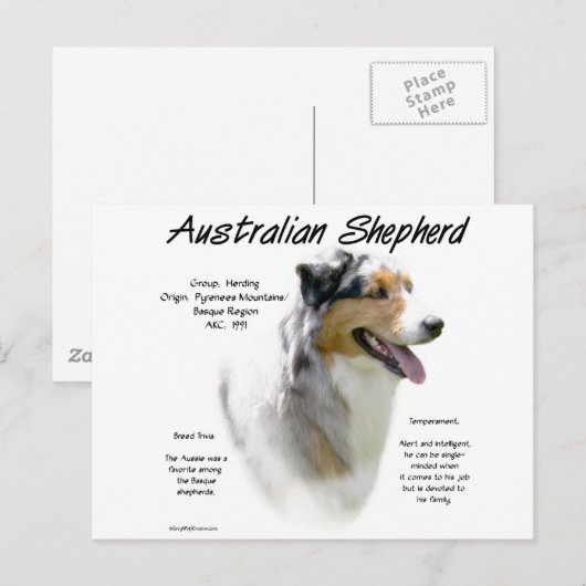 Australian Shepherd Geschiedenis, Alles over Aussi Briefkaart (Voorkant / Achterkant)