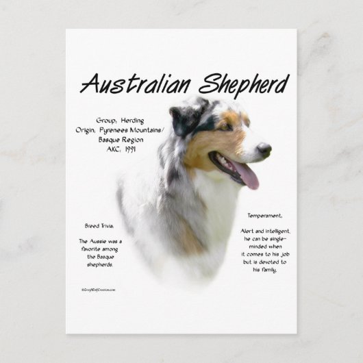 Australian Shepherd Geschiedenis, Alles over Aussi Briefkaart (Voorkant)