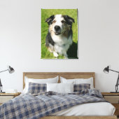Australian Shepherd glimlacht bij camera Canvas Afdruk (Insitu (Slaapkamer))