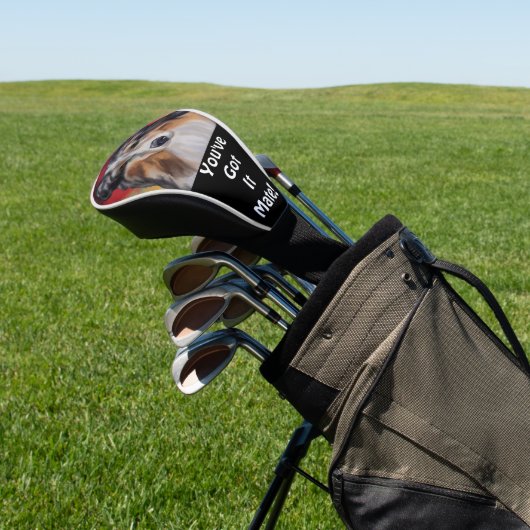 AUSTRALIAN SHEPHERD GOLFHEADCOVER (Insitu)