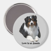 Australian Shepherd Guardian Magnet (Voorkant / Achterkant)
