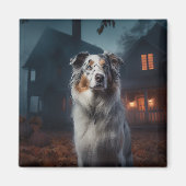 Australian Shepherd Halloween Scary Magneet (Voorkant)