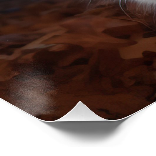 Australian Shepherd Halloween Scary Perfect Poster (Hoek)