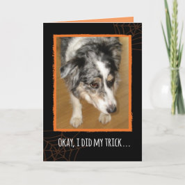Australian Shepherd Halloween Trick and Trees Kaart