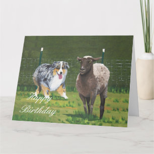 Australian Shepherd Happy Birthday Big Card Kaart