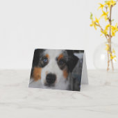 Australian Shepherd Happy Birthday Card Kaart (Gele Bloem)
