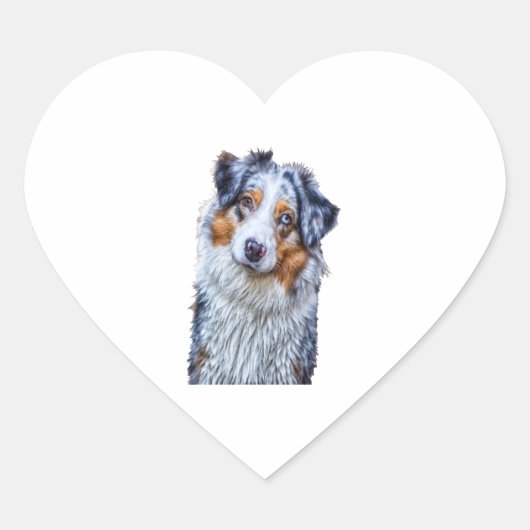 Australian Shepherd Hart Sticker (Voorkant)