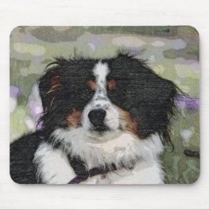 Australian Shepherd, Hond, Natuur Muismat