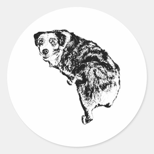 Australian Shepherd Hond Sticker – Inkt Kunststijl (Voorkant)