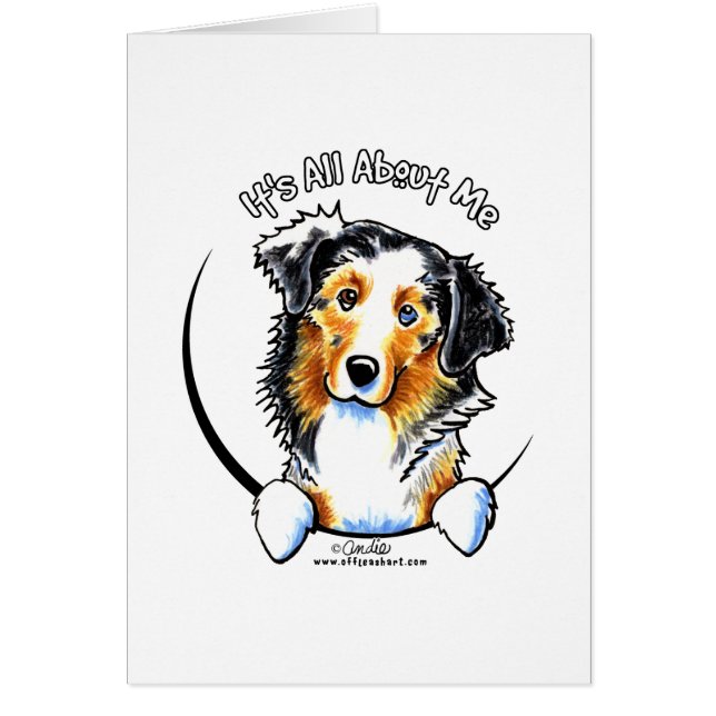 Australian Shepherd IAAM (Voorkant)