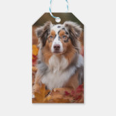 Australian Shepherd in herfstbladeren val inspirer Cadeaulabel (Voorkant)