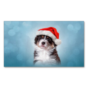 Australian Shepherd in het rode pet van Santa Magnetisch Visitekaartje