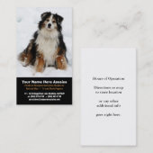 Australian Shepherd in Snow Breeder Visitekaartjes (Voorkant / Achterkant)