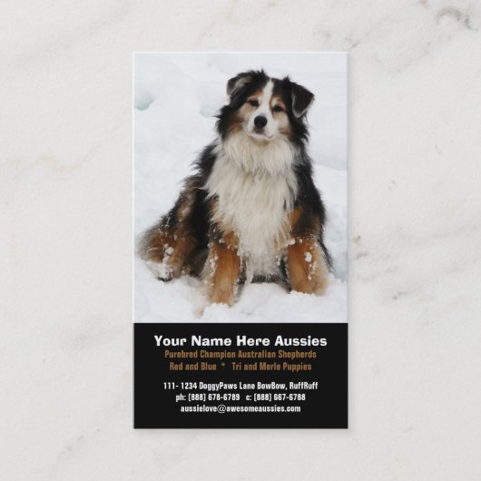 Australian Shepherd in Snow Breeder Visitekaartjes (Voorkant)