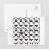 Australian Shepherd in the Sheep Briefkaart (Voorkant / Achterkant)