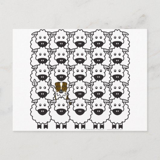 Australian Shepherd in the Sheep Briefkaart (Voorkant)