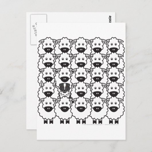 Australian Shepherd in the Sheep Briefkaart (Voorkant / Achterkant)