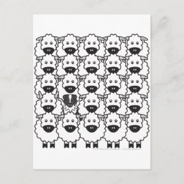 Australian Shepherd in the Sheep Briefkaart