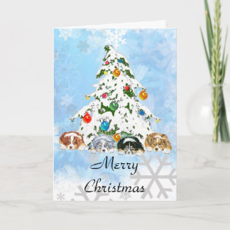 Australian Shepherd - Kaart van Kerstmis