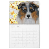 AUSTRALIAN SHEPHERD KALENDER (Jan 2027)