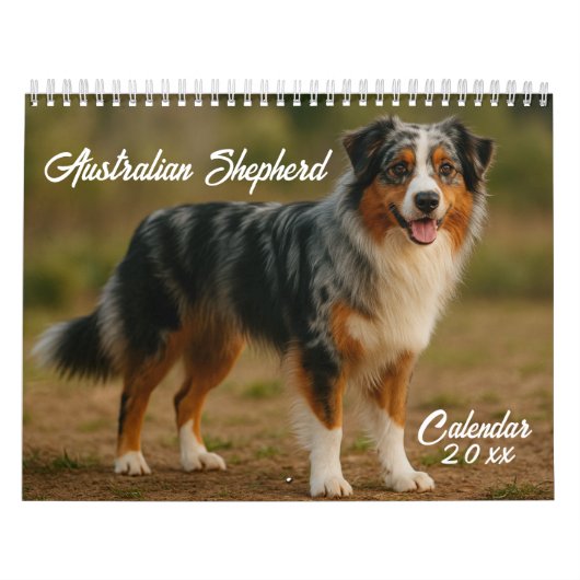 Australian Shepherd Kalender 2026 (Hoes)