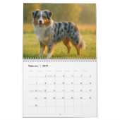 Australian Shepherd Kalender 2026 (Feb 2027)