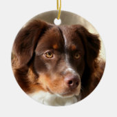 Australian Shepherd Keramisch Ornament (Voorkant)