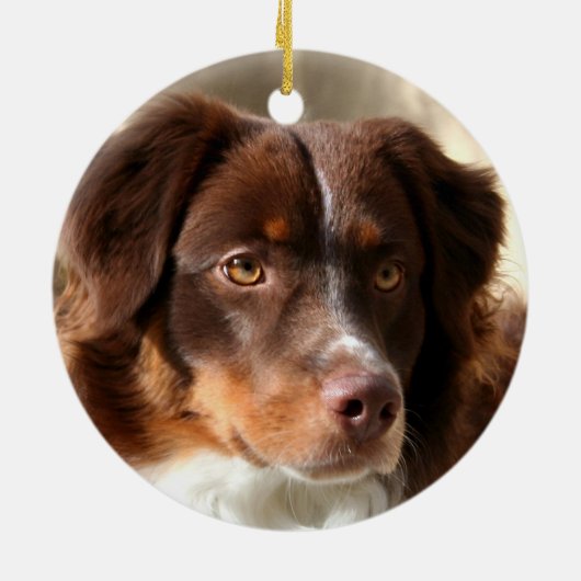 Australian Shepherd Keramisch Ornament (Achterkant)