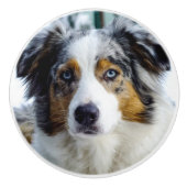 Australian Shepherd Keramische Knop (Voorkant)