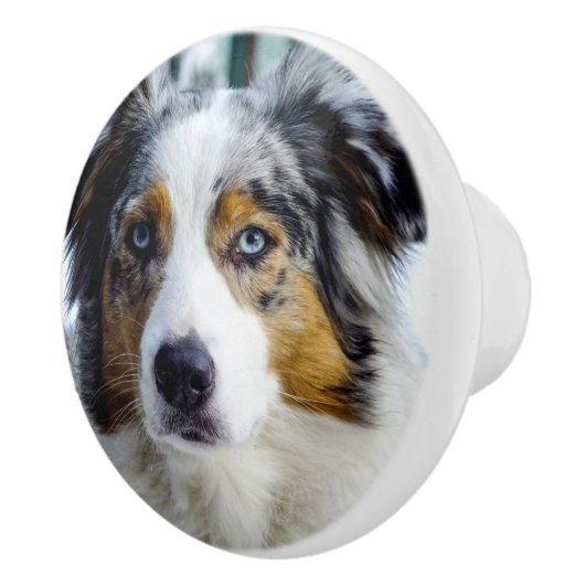 Australian Shepherd Keramische Knop (Rechts)