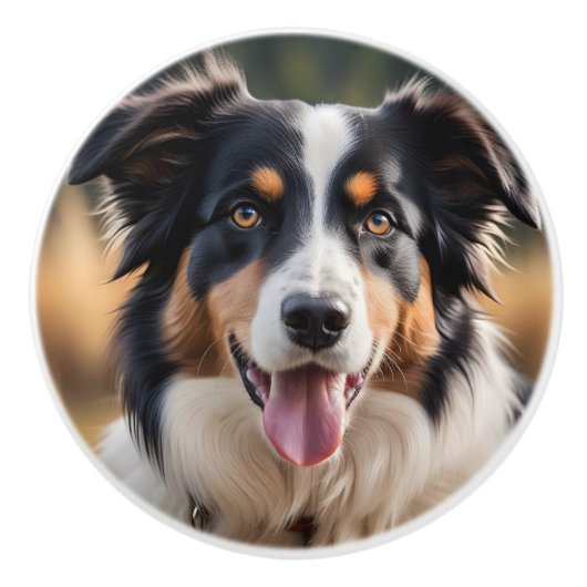 Australian Shepherd Keramische Schattigee Hondenkn Keramische Knop (Voorkant)
