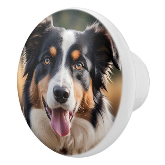 Australian Shepherd Keramische Schattigee Hondenkn Keramische Knop (Rechts)