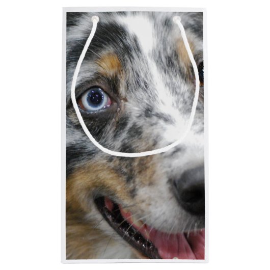 Australian Shepherd Klein Cadeauzakje (Achterkant)